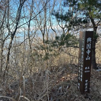 興因寺山⛰️