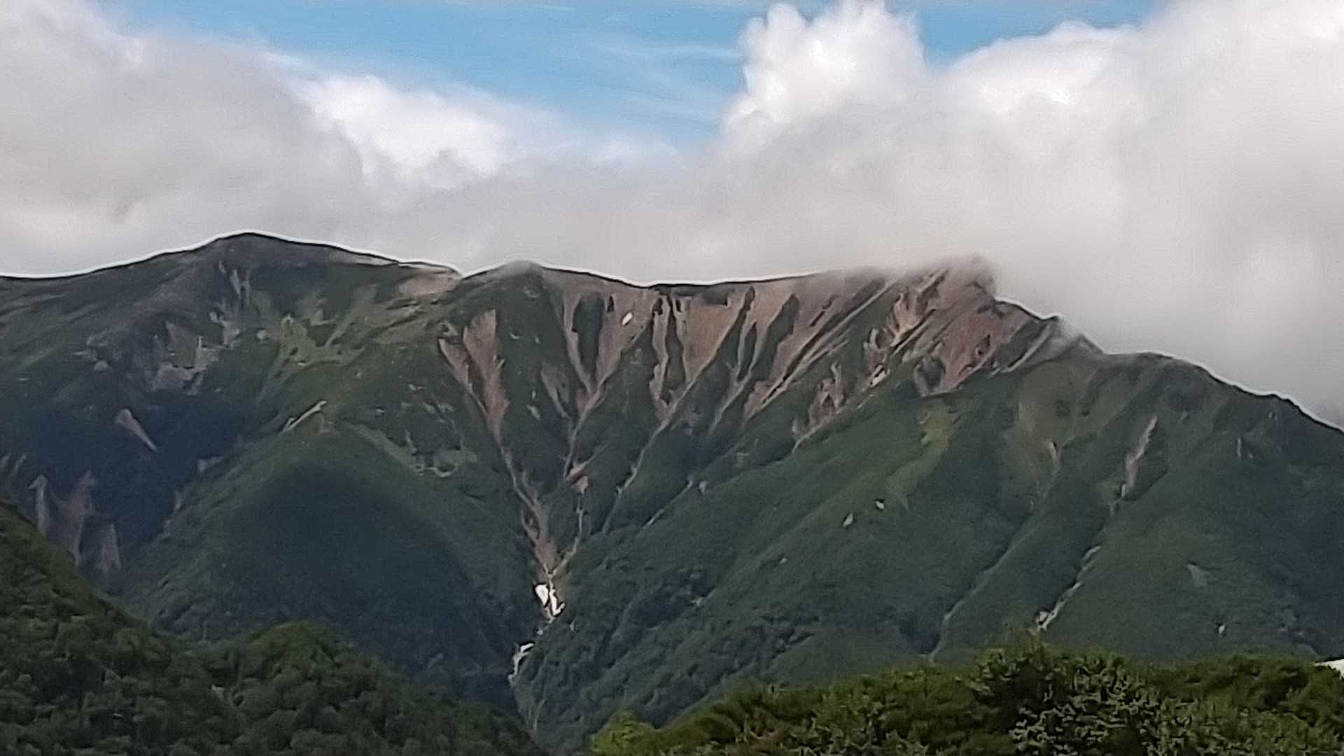 また赤牛さん✨何回撮るねん🤣
