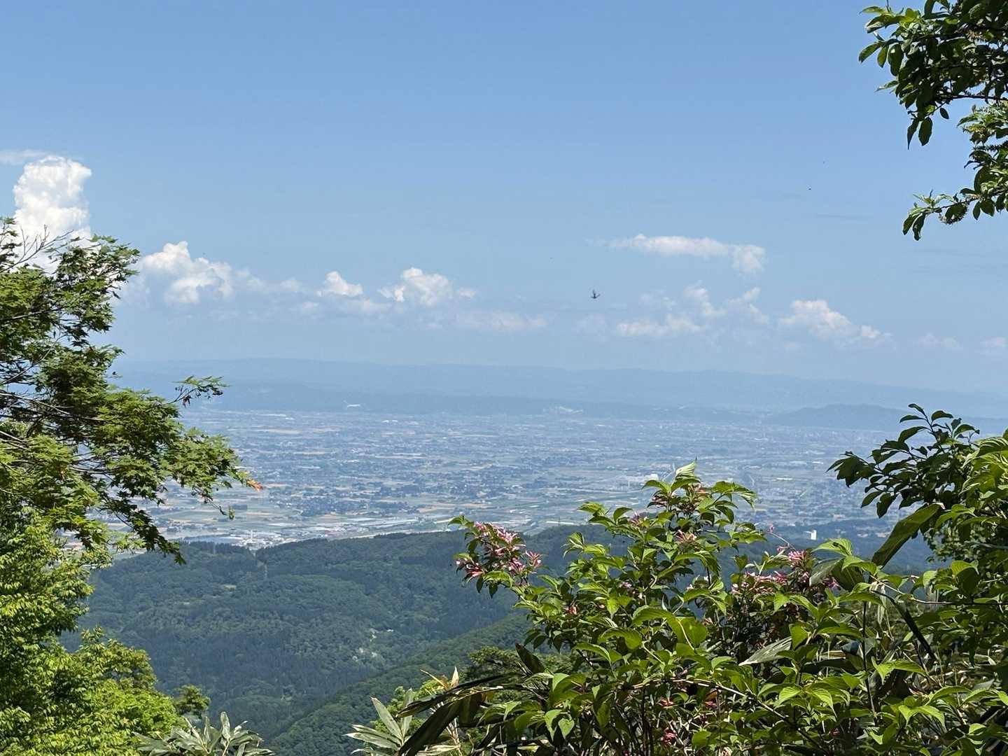 散居村