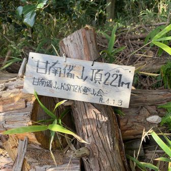 山頂です。