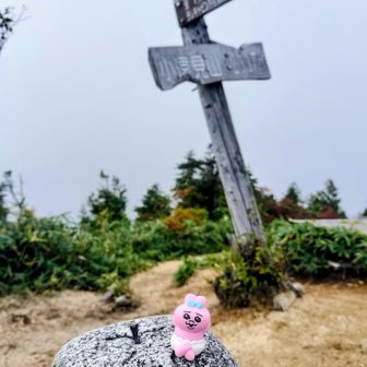小遠見山⛰️2007m山頂
🫥山頂はまっ白だー🙃