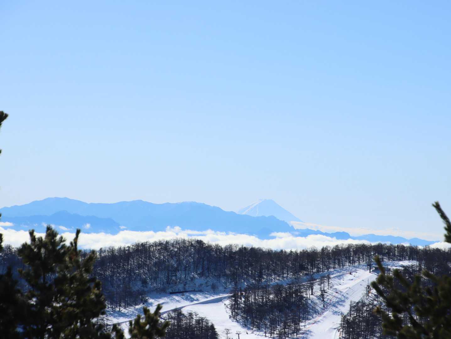 国師ヶ岳･北奥千丈岳･朝日岳･金峰山･瑞牆山･富士山方面の景色[うぐいす展望台～水ノ塔山山頂]
富士山も見えました。