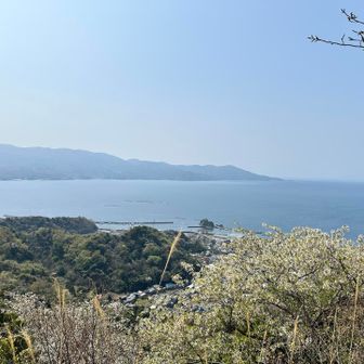 この辺りから左側に海が広がる🥹