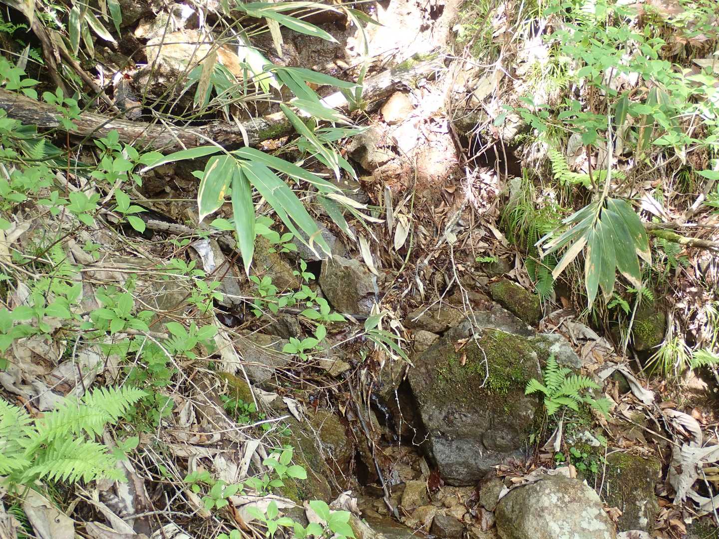 水場あり