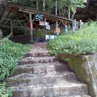 下りてきました、夜叉神登山口