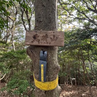 兎荷山到着。展望はなし！