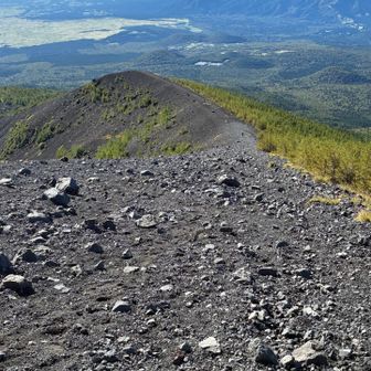 水ヶ塚公園の方向へ，ザレた急坂を慎重に下って．．