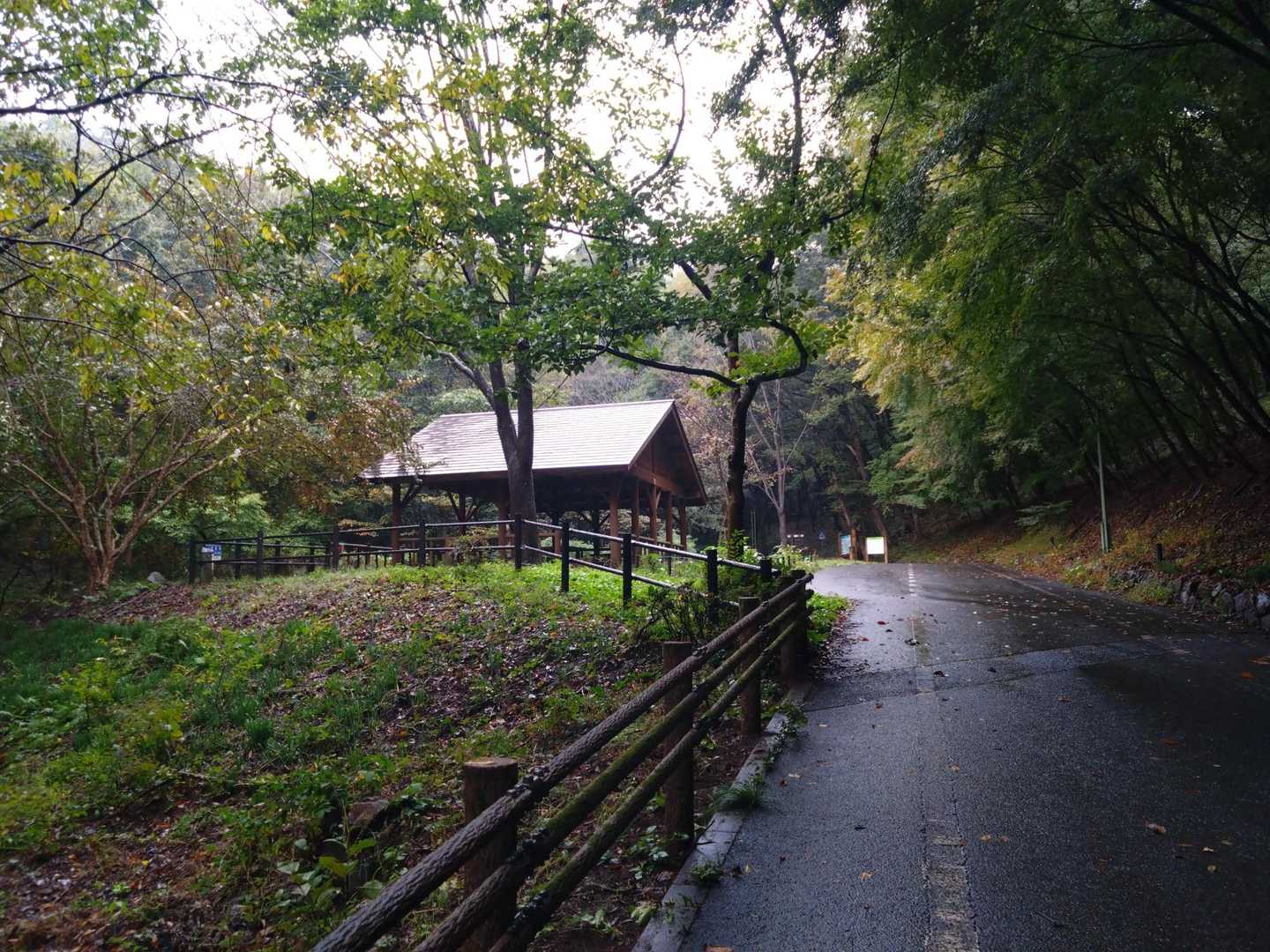 雨が強くなってきた☔️あそこで‥