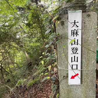 思ったより遠かった
道は何となく見えるけどかなり悪い印象
工兵道と言う道らしく、あまり歩いてる人はいないみたいです