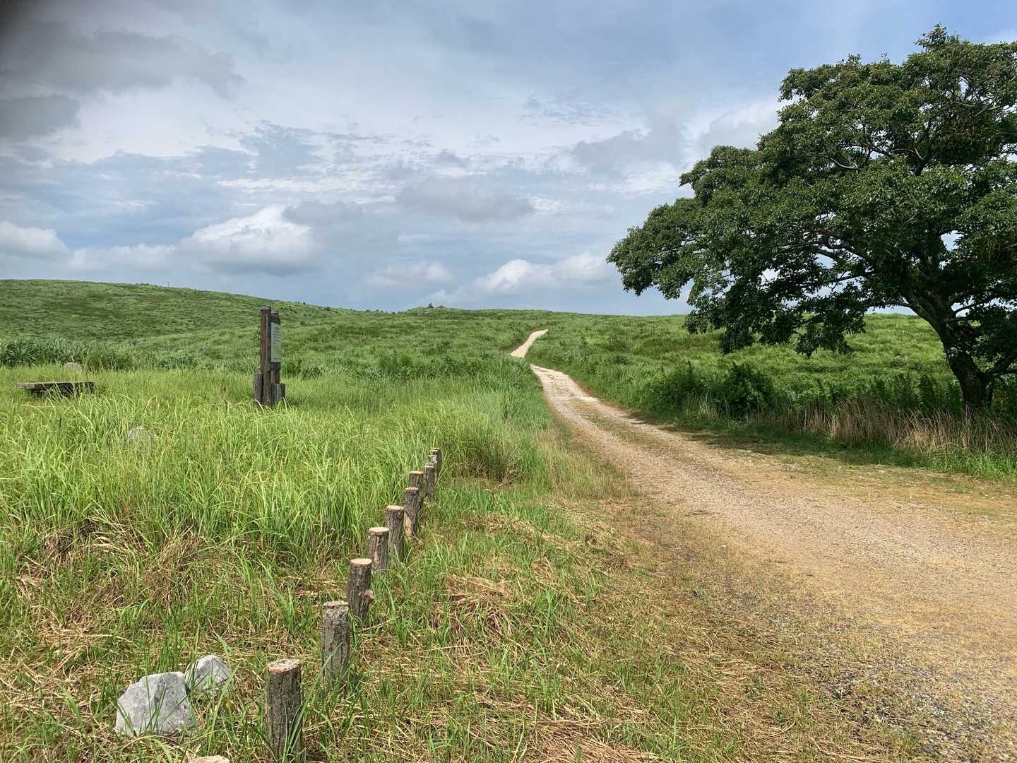 空へ続く道😊
