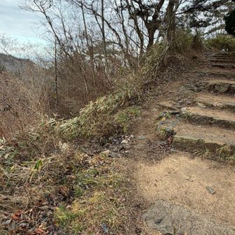 全山縦走路との分岐点。ようやく水晶谷ルートは終了