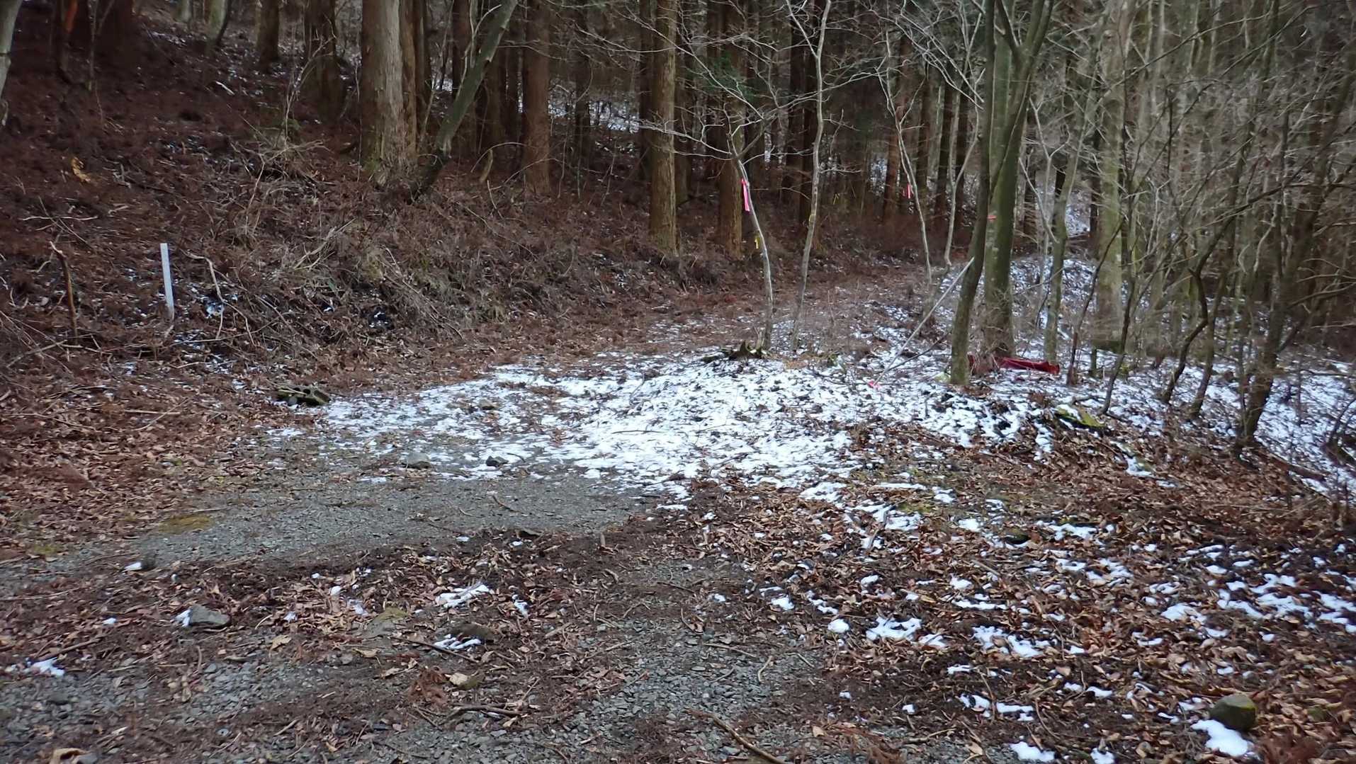 荒れた林道。石がゴロゴロで歩きにくい。