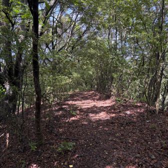 踏み跡が少ない登山道