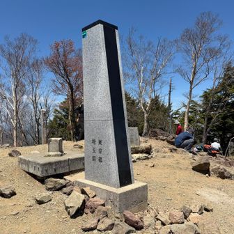 裏には東京都と並んで埼玉県の文字もありました