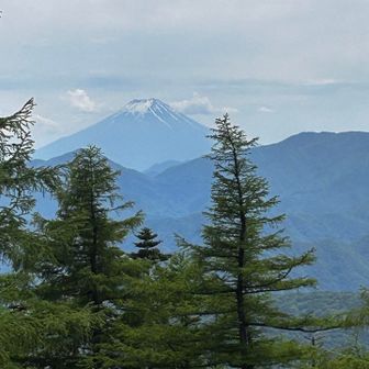 やっぱり富士山は日本一🗻🇯🇵