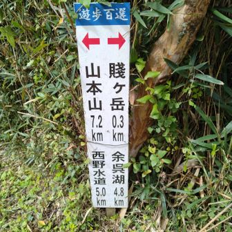 周回コース無理無理〜🤣💤