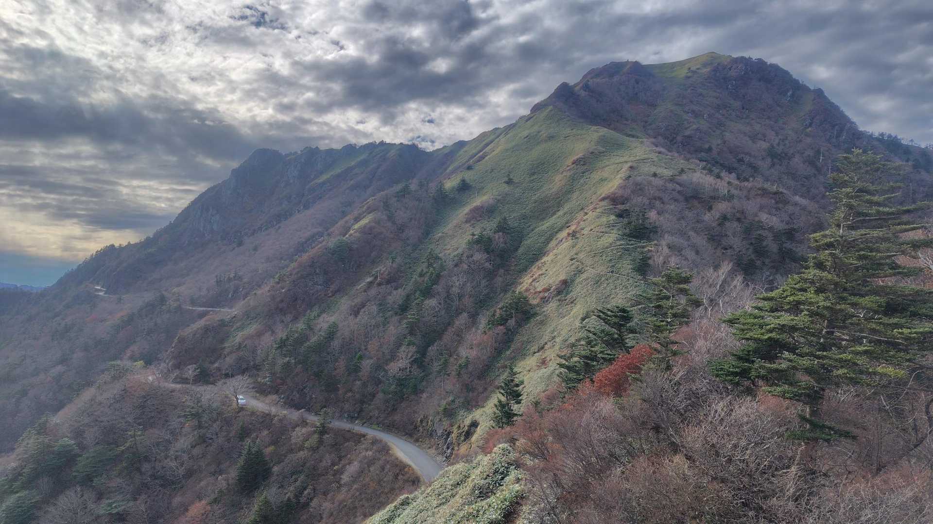 神々しい✨️