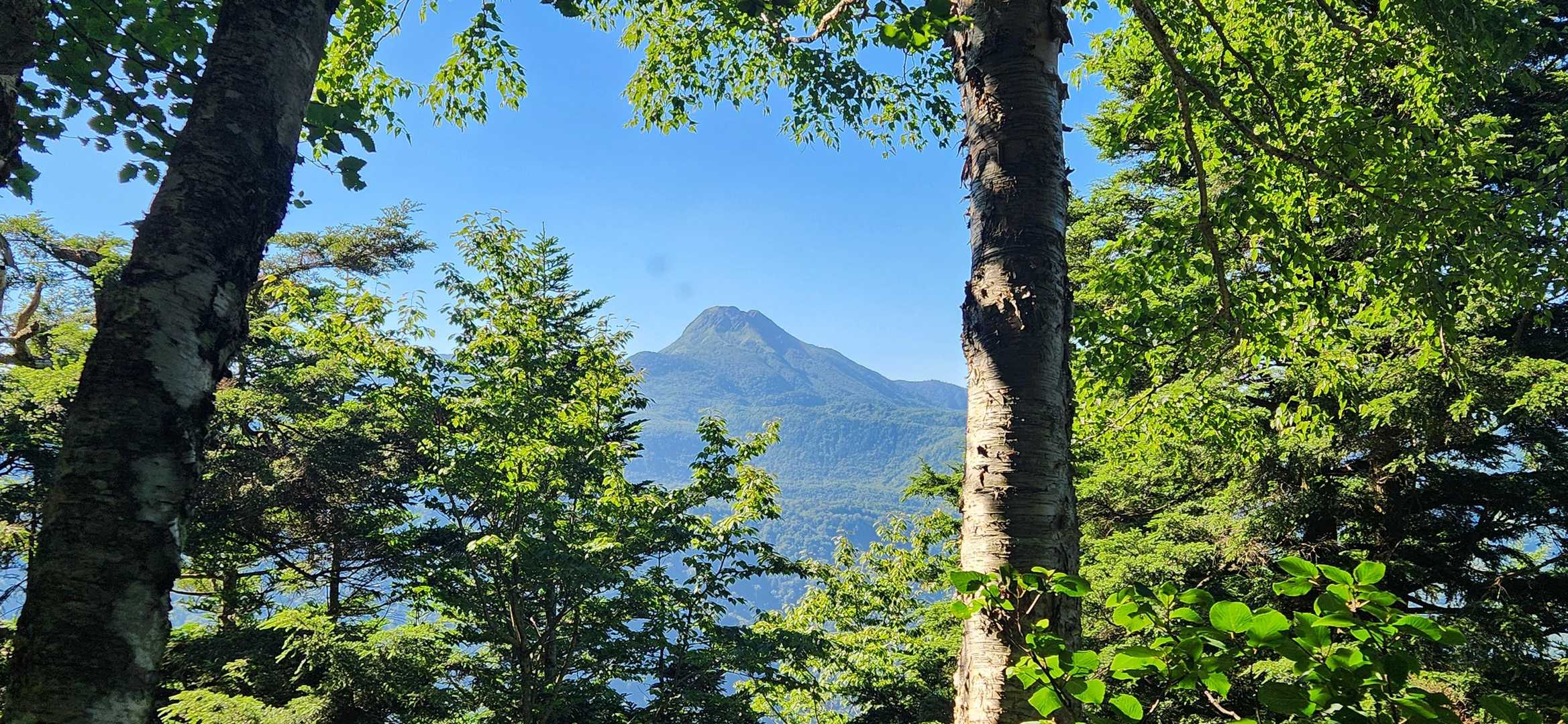 時たま見える白根山に癒されました😊