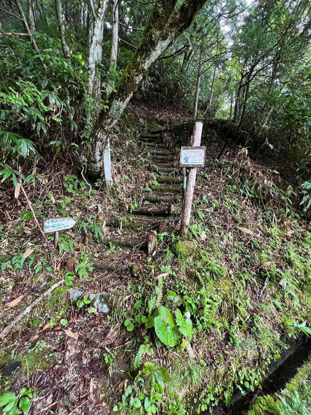 登山口