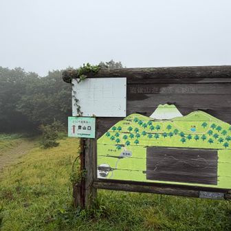 ミスト雨だけどお花🌸🌼の山だから楽しみ😊