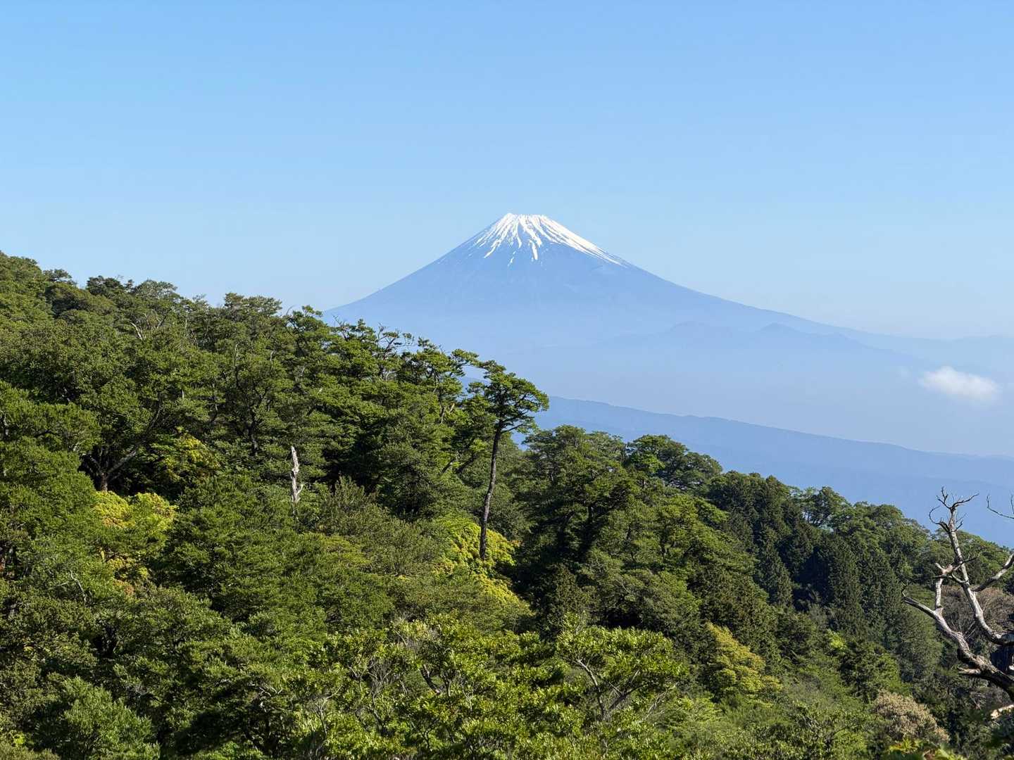 太陽高くなって富士山🗻もクッキリ✨