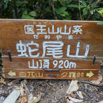 蛇屋山✨️
サクッとピークハント👍
白兀山も行けんことないけど、打合せ時間ギリギリになりそうなのでここまで✋️