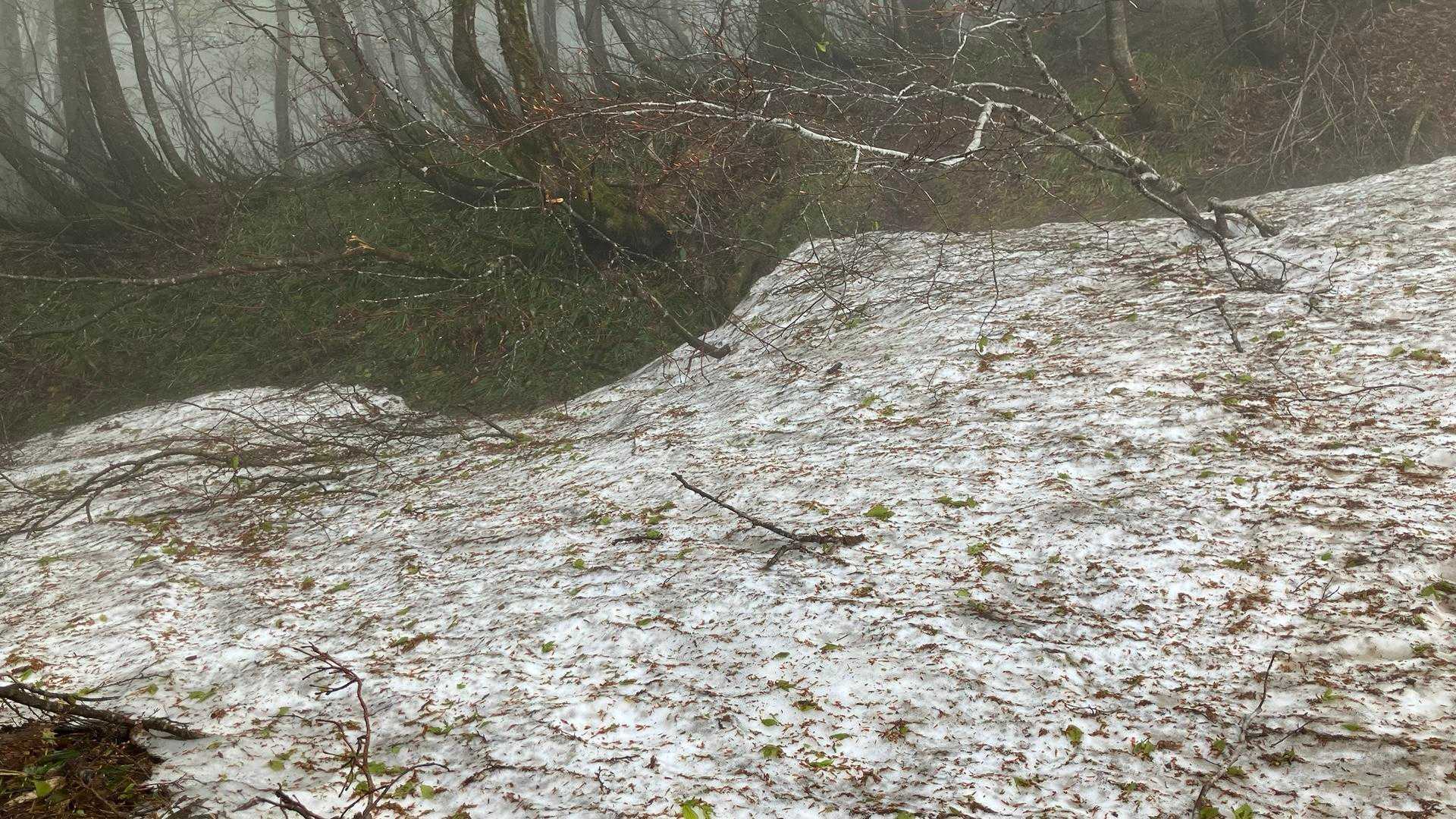 山頂からの稜線沿いはまだまだ雪が
横山岳東峰へ向かってます
