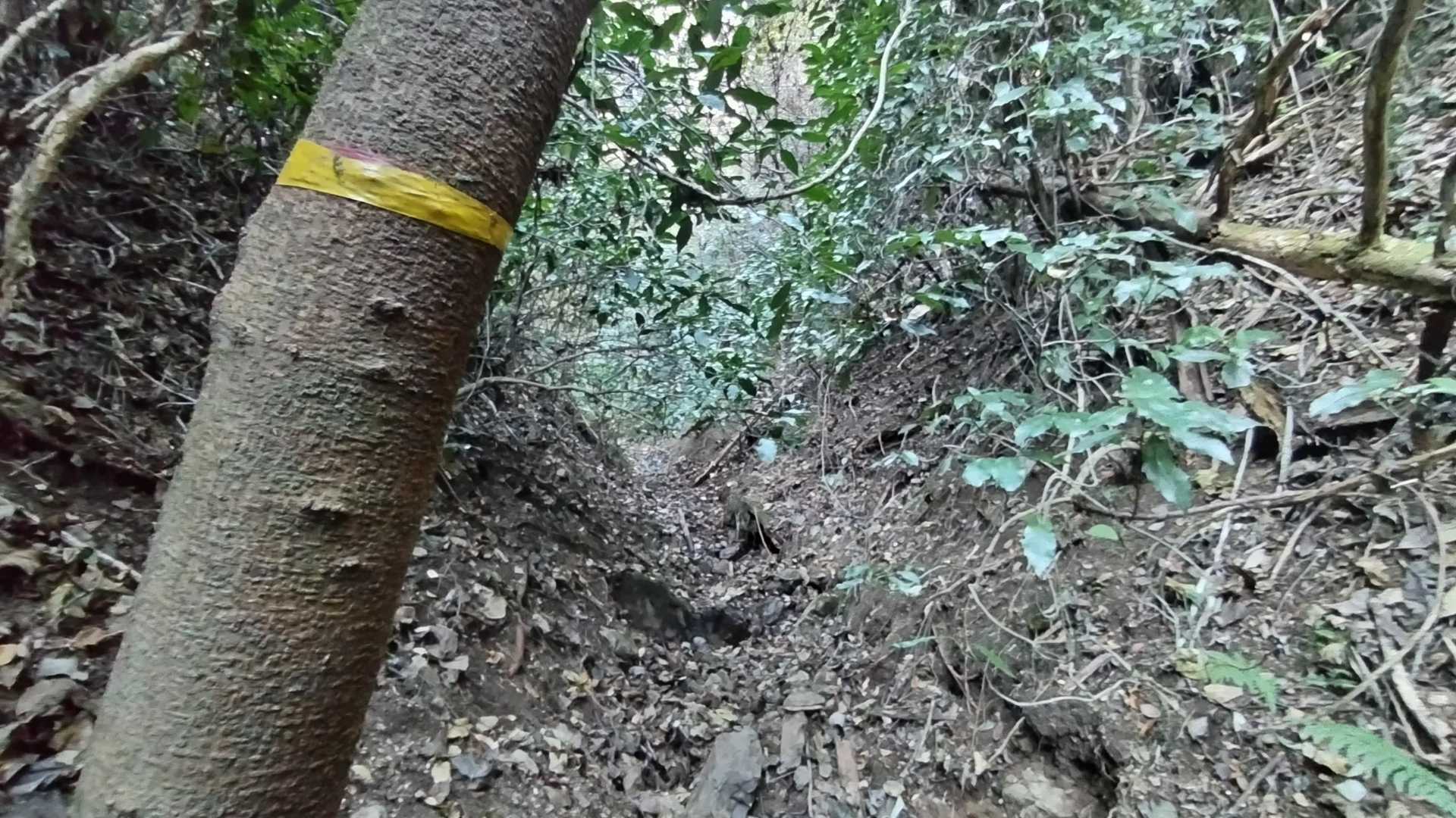 黄テープ。ピンクテープじゃないけど、この際何でもいい🤣