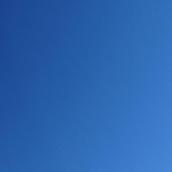 下側にビシャゴ🦅らしき姿とセスナ機🛩️