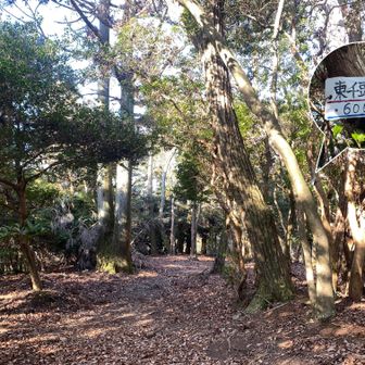 千頭岳（東千頭岳）山頂
600ｍ　眺望はありません。