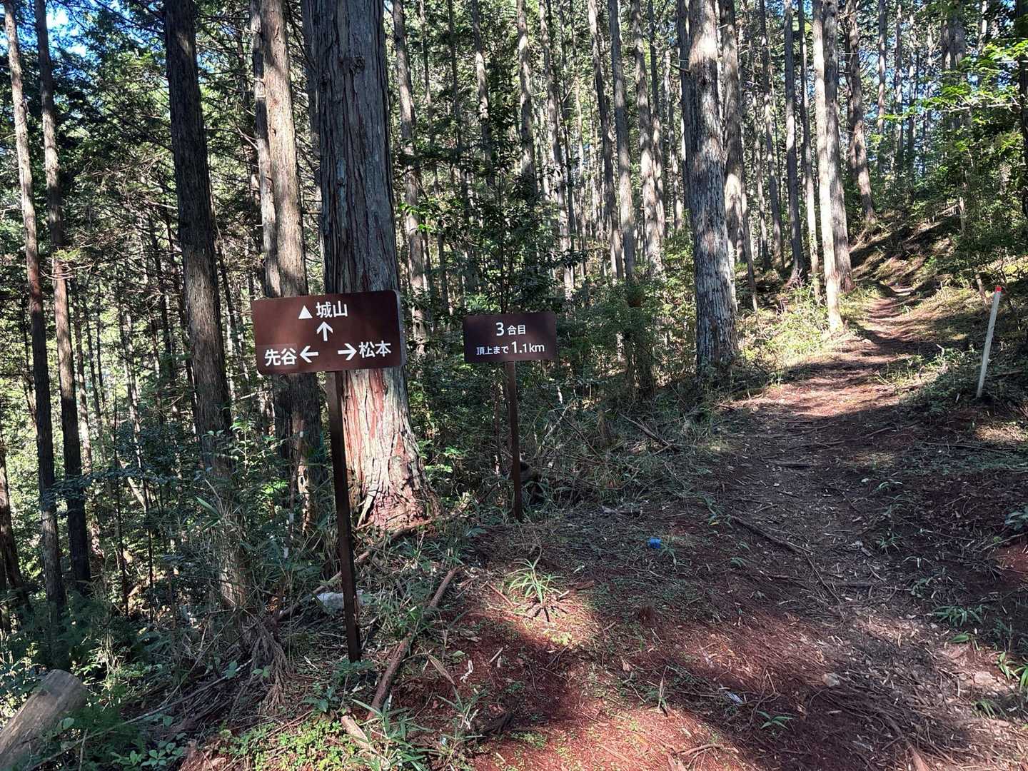 天神神社登山口-女夫山-松本峠-城山 往復コースの写真