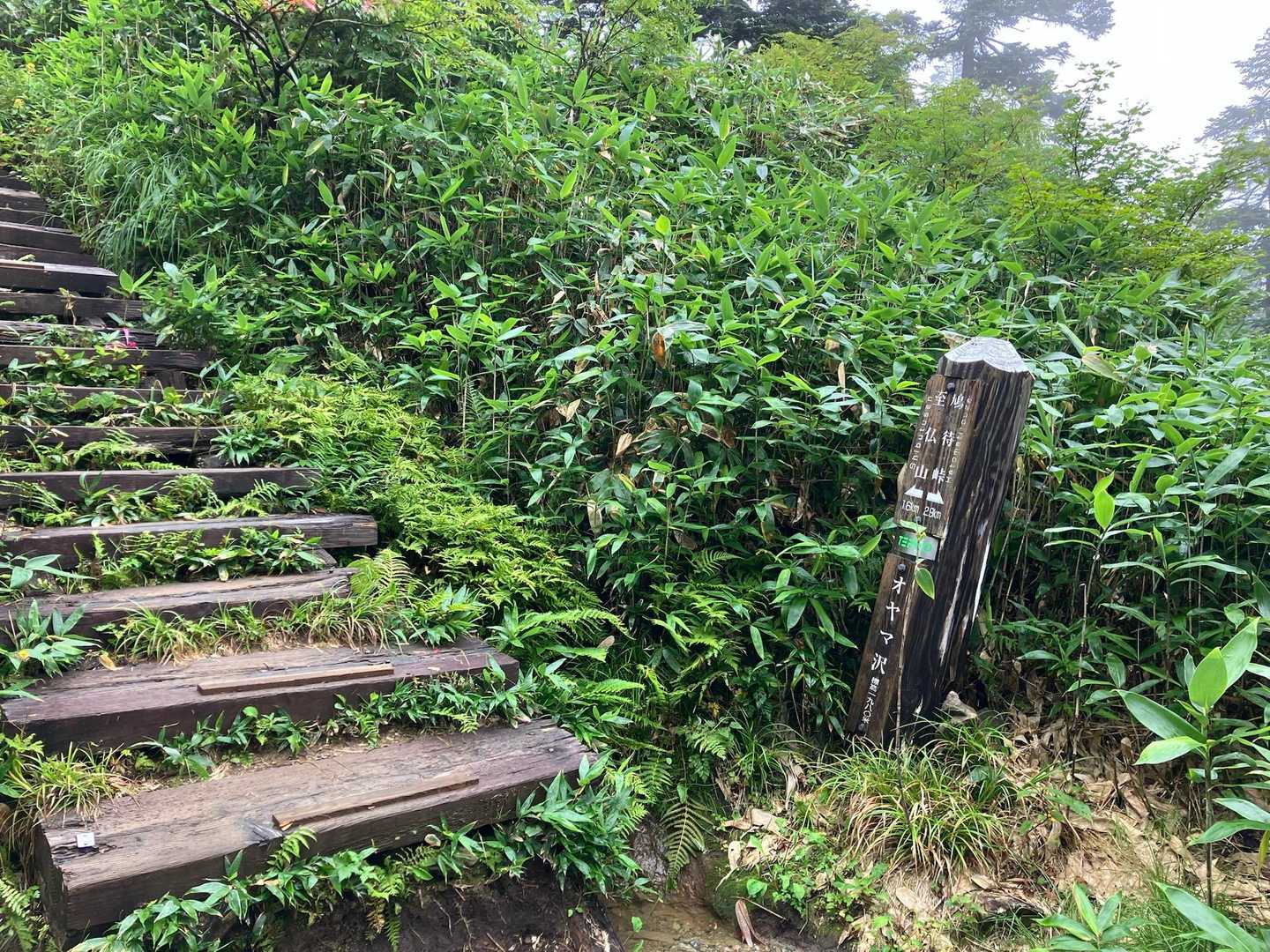 木道があるとホッとします