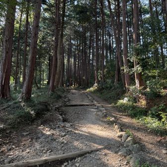 登山道になりました。