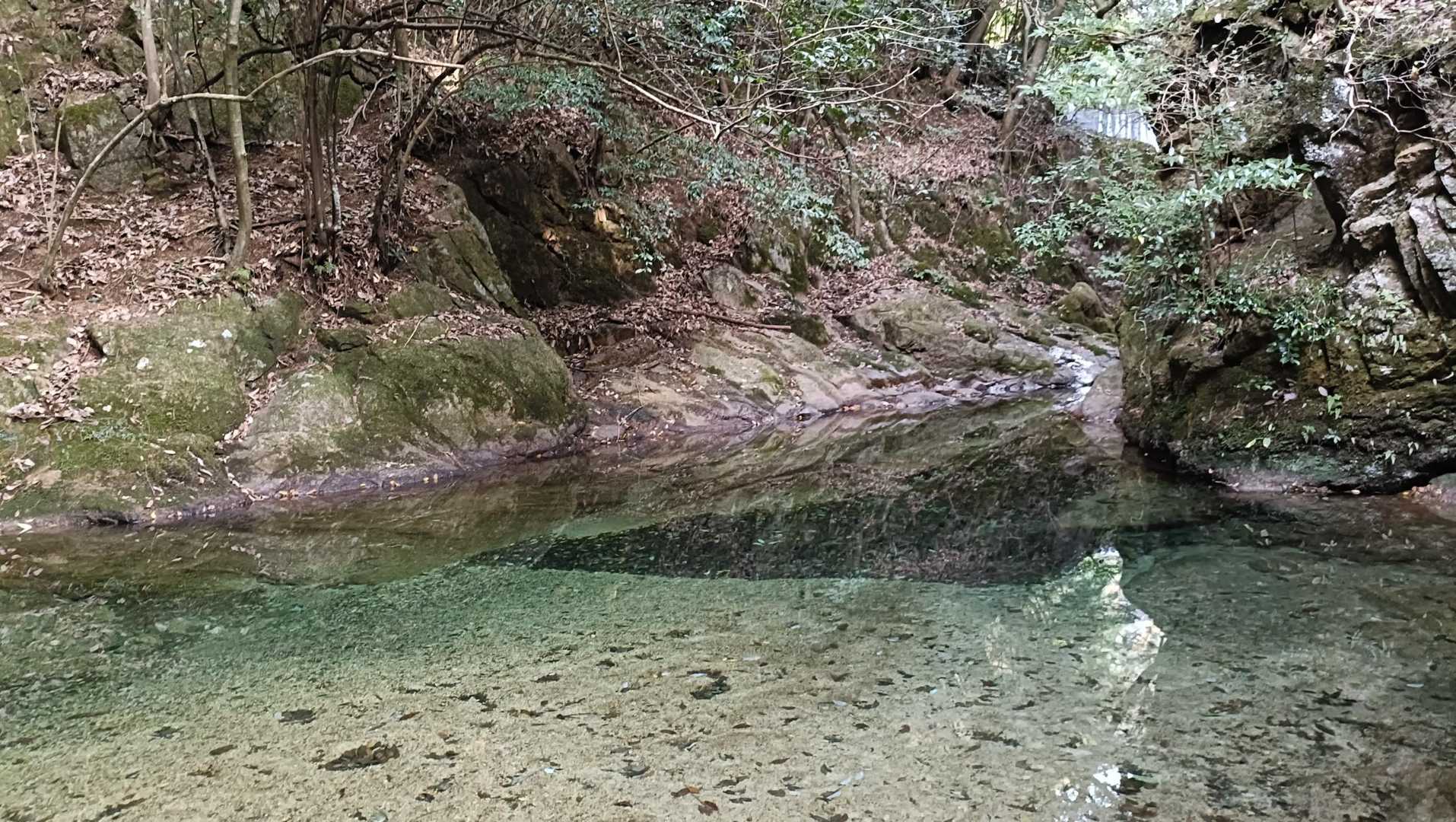 水が綺麗✨✨
小さな魚がおりました!