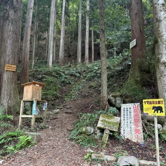 登山口！ここからSTART！