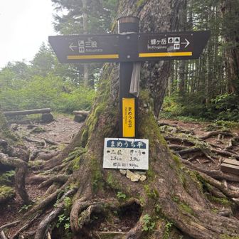 まだ2.5kmも？もう救助呼びたいくらいの激痛でした😫ロキソニンローションも効果無し！ストックに全体重かけて一段一段ゆっくりと😅
暑くもないのに痛みに耐える冷や汗ヤバい💦