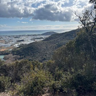 あの山がスタートでゴールの小山