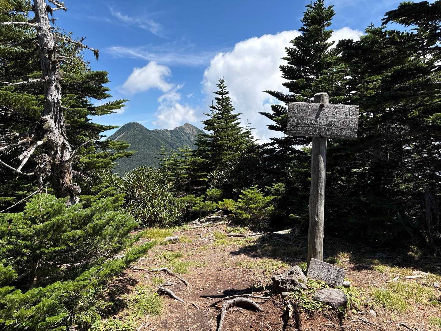 小真名子山山頂２３２２．９ｍ　
後方に帝釈山・女峰山