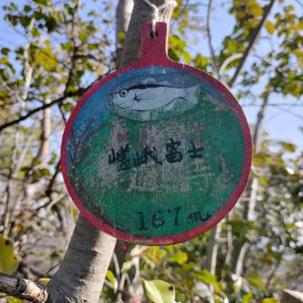 嵯峨富士、下から富士のように見えるのかな🤔