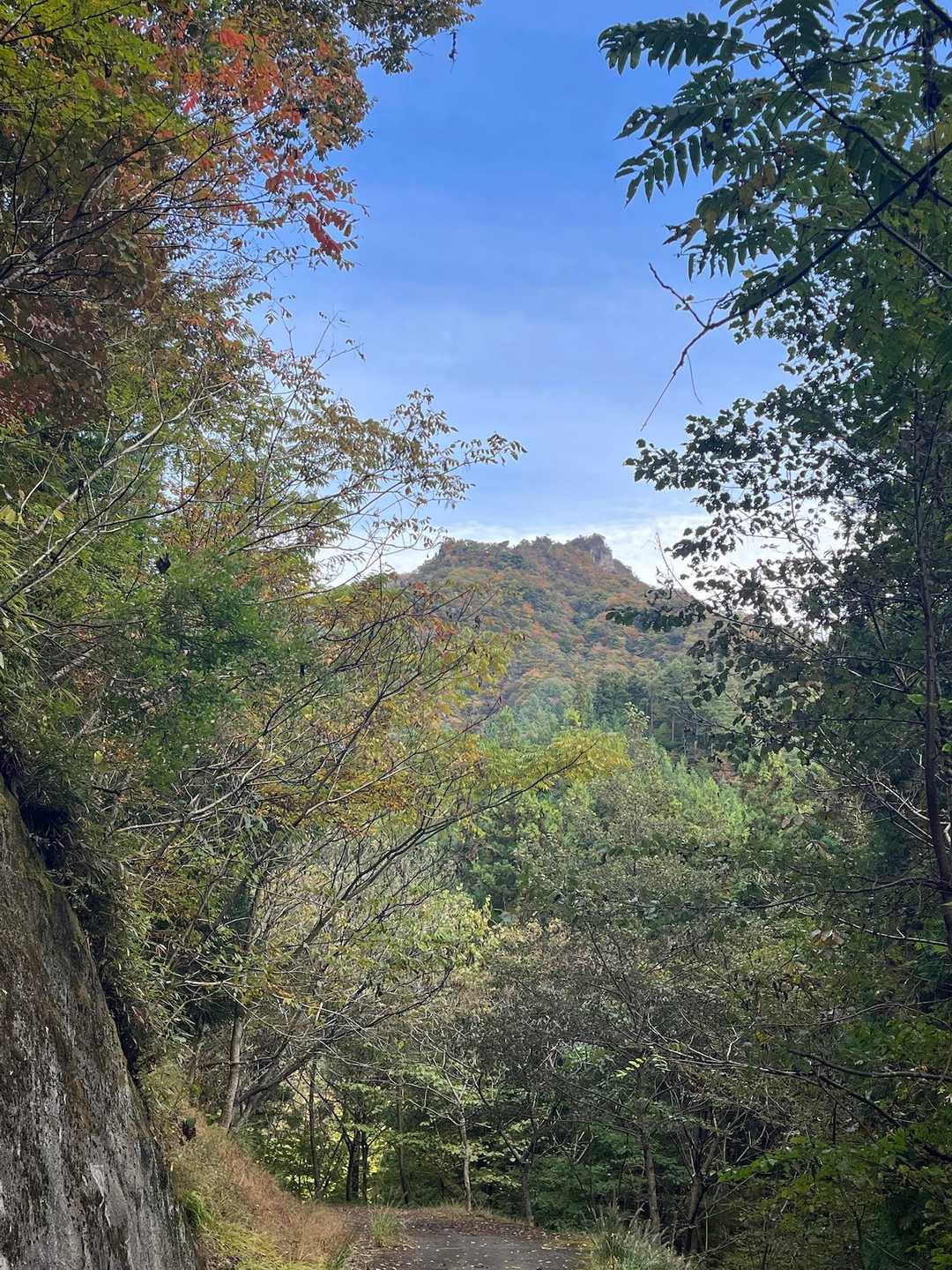 丁須の頭登山口-馬頭観音-もみじ谷-三方境-谷急山 往復コースの写真