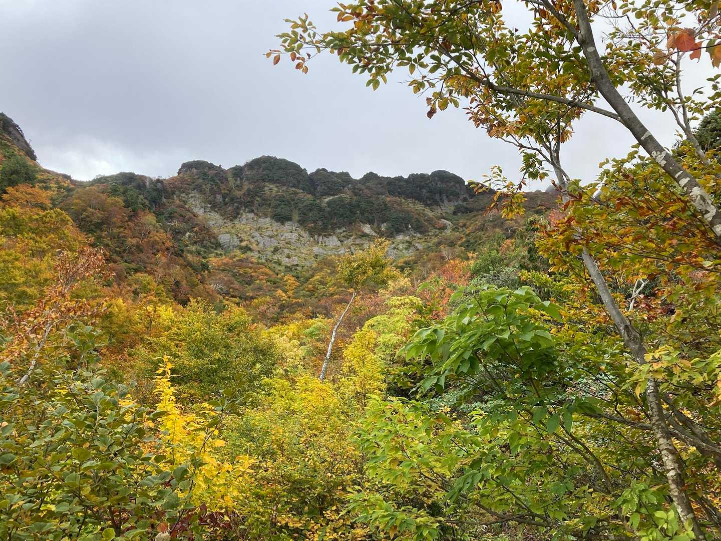 八ッ峰と紅葉🍁✨