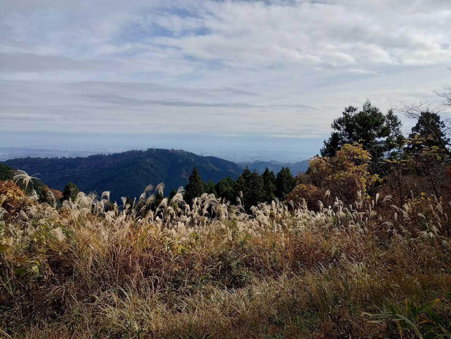 城山からの眺め