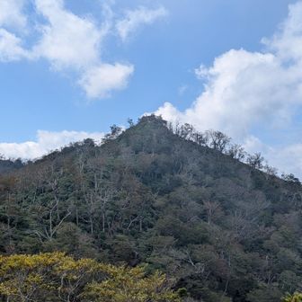 お姫山🫅
