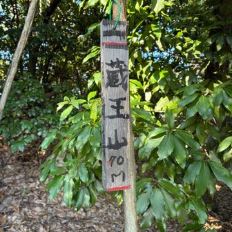 蔵王山山頂
