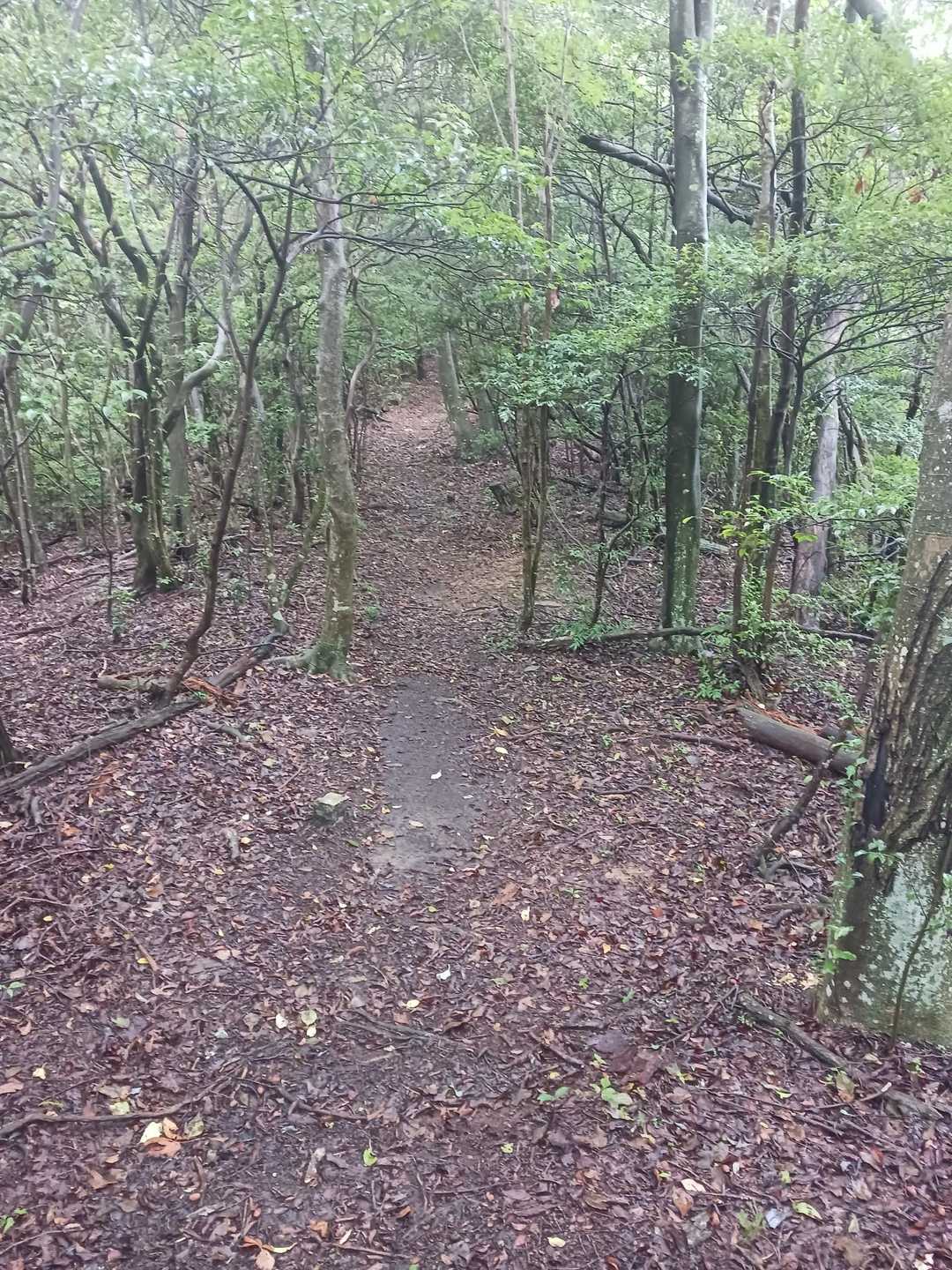 雨が降りだした😩