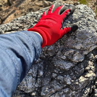 とりあえず登ってみる。中2心炸裂😆