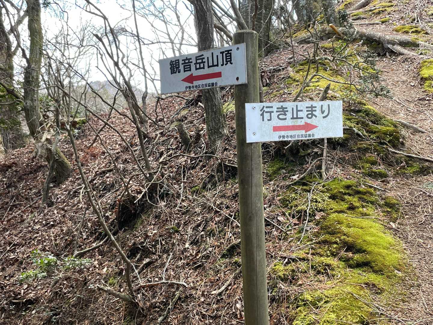 観音岳に向かいます
