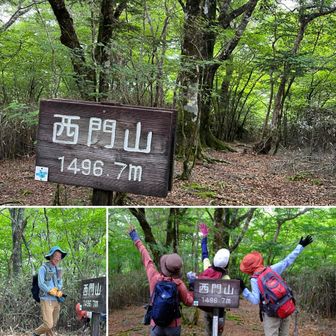 西門山 1,496m

山頂は眺望なし
3年ぶり３回目のピークハントです