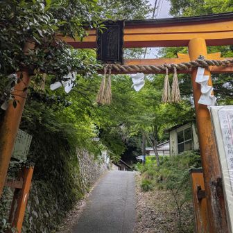 長い表参道の下り
やっと降りて来ました〜
今回色々ハプニングがあって　試練もあり（ちょい大袈裟）　感動の再会もあり
最後は　ハッピーエンドで降りて来られました
ありがとうございました😊