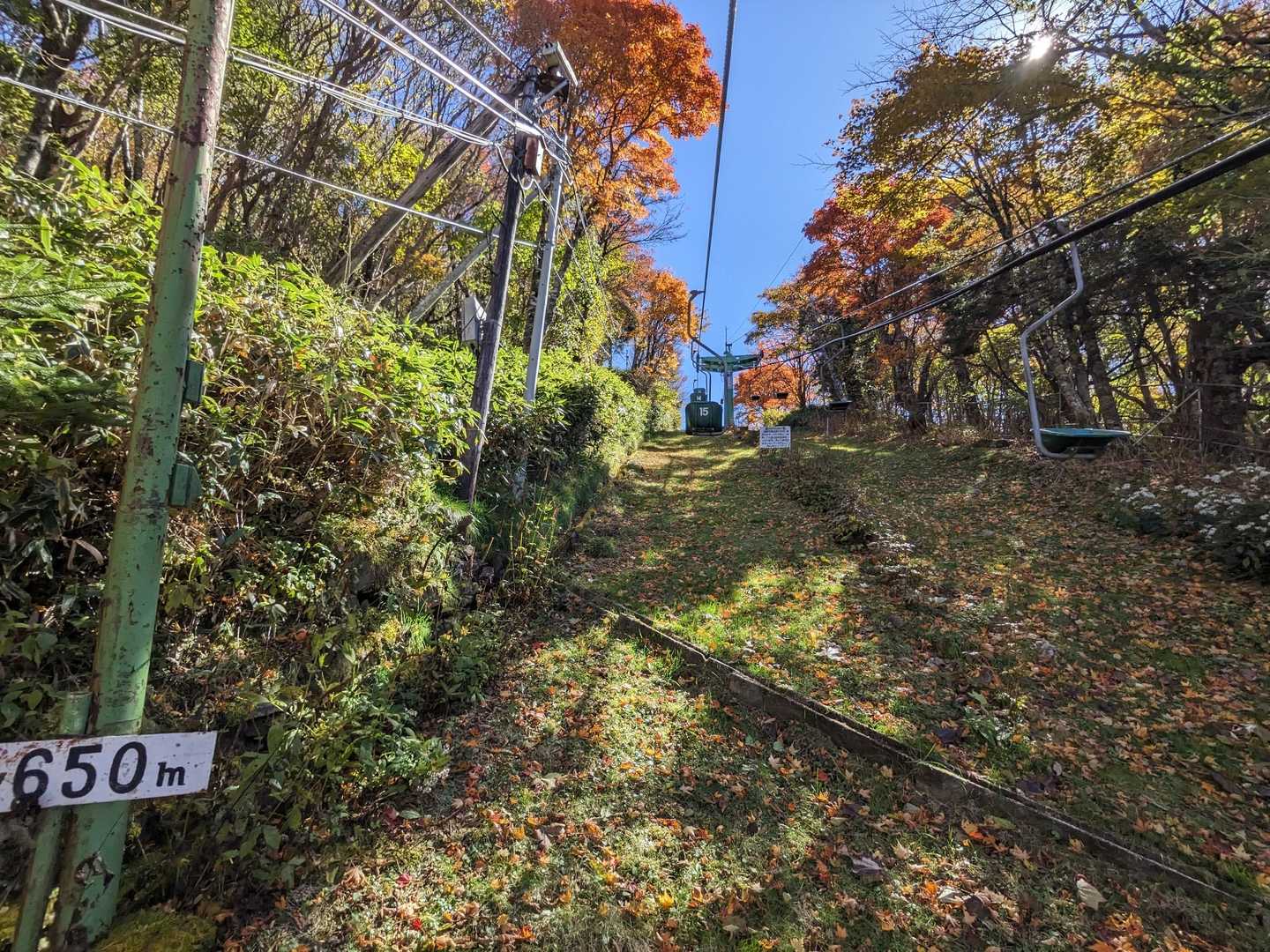 西島あたりが紅葉